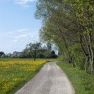 Country lane